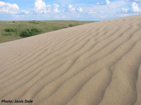 Seward Sand Dunes, Swift Current, Saskatchewan