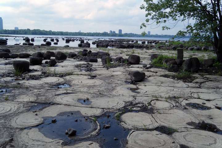 Champlain bridge stromatolites